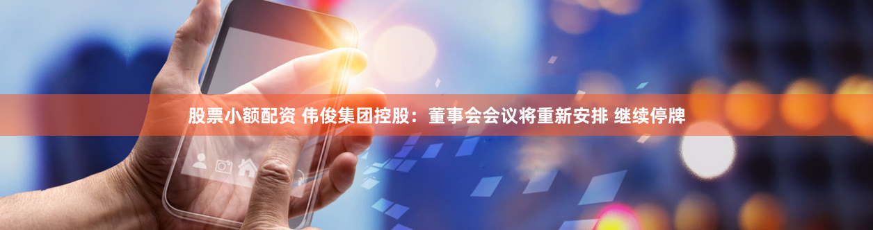 股票小额配资 伟俊集团控股：董事会会议将重新安排 继续停牌